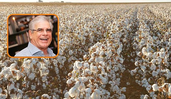 Segundo a PGE, a José Pupin Agropecuária não aderiu ao Refis vigente