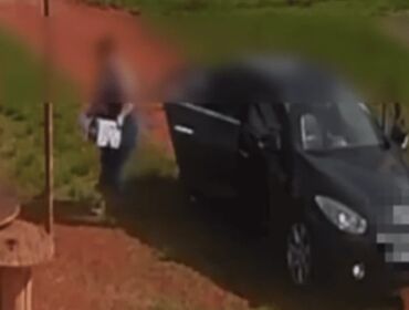 Vídeo mostra mulher abandonando cadela e filhotes na chuva