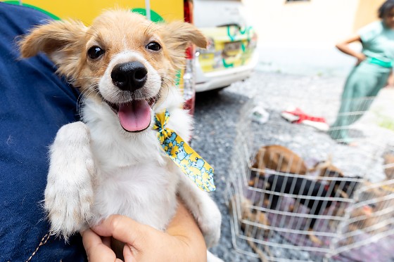 Segundo o secretário de Governo, Ananias Filho, antes não havia parâmetro de preços entre as clínicas.