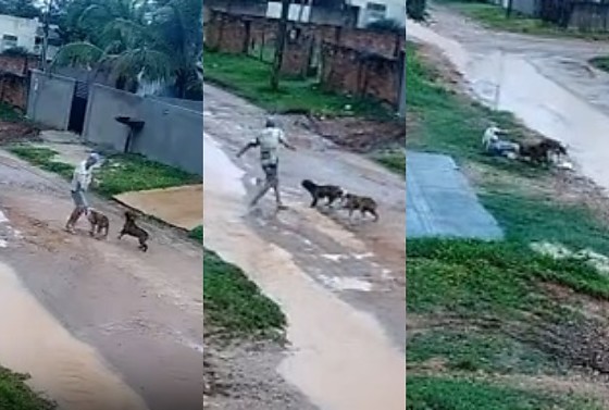 Testemunhas relataram que os cães pularam o muro da casa onde vivem, invadiram primeiro o quintal do vizinho e mataram algumas galinhas. Na sequência, os animais seguiram para a rua, onde atacaram a vítima.