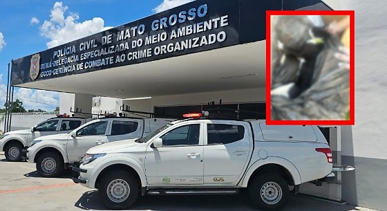 Em nota, a Polícia Civil informou que a Dema “já tomou ciência sobre o fato” 