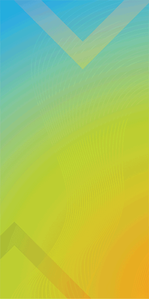  GOV 600 SER FAMILIA CAPACITA