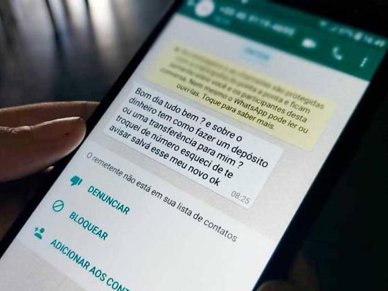 Por meio de dados vazados, os criminosos conseguem informações suficientes para enviar a mensagem e parecerem legítimos.