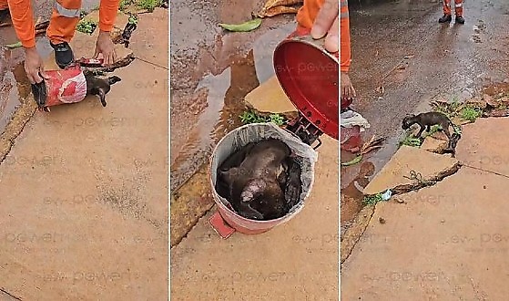 O fato aconteceu na terça-feira, em Rondonópolis