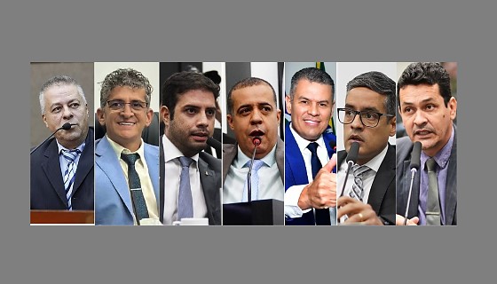 Os sete vereadores repassaram emendas parlamentares ao Instituto Ibrace