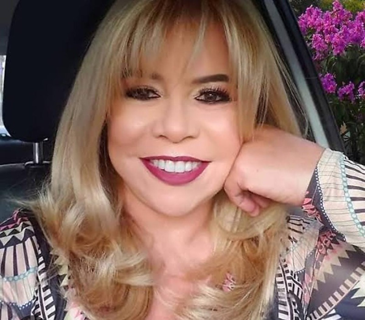 Câmara de Cuiabá nomeia Sala de Imprensa em homenagem a Lauristela Guimarães
