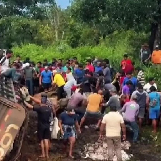 O acidente resultou em danos severos ao veículo e na morte de diversos animais.