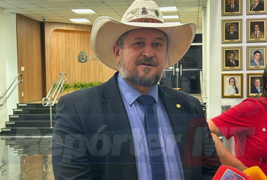 Deputado Gilberto Cattani criticou medida que libera visita íntima em celas nas cadeias de MT