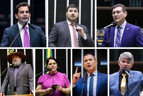 Sete deputados participaram da votação e apenas um votou para manter o veto