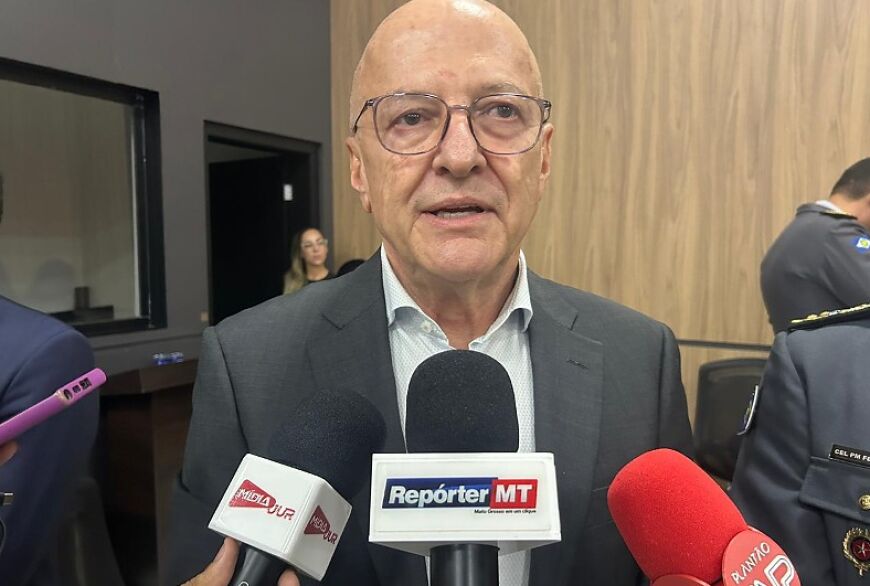 Para Pivetta, a votação da matéria na Câmara dos Deputados foi impulsionada por interesses políticos imediatos