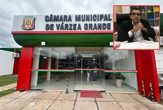 Aos suspender eleição, juiz cita afronta a precedentes do STF e "falta de razoabilidade" em antecipação de 232 dias.