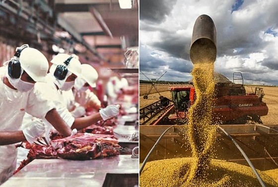 Alimentos e refino de biocombustíveis alavancam atividade industrial de Mato Grosso acima da média nacional em março