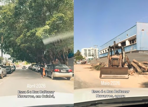 Prefeito se revolta após vídeo de rua no bairro Bandeirantes completamente sem sombra viralizar nas redes sociais