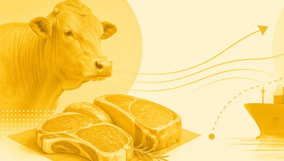 Reunião da Comissão Europeia discute novas regras para importação de produtos pecuários e deixa o Brasil de fora.