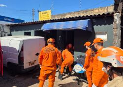 A situação mobilizou uma força-tarefa envolvendo diferentes órgãos públicos