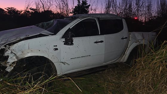 O motorista tentou desviar de um boi que estava na pista e perdeu o controle da caminhonete.