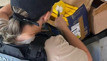 Polícia Civil - MT
