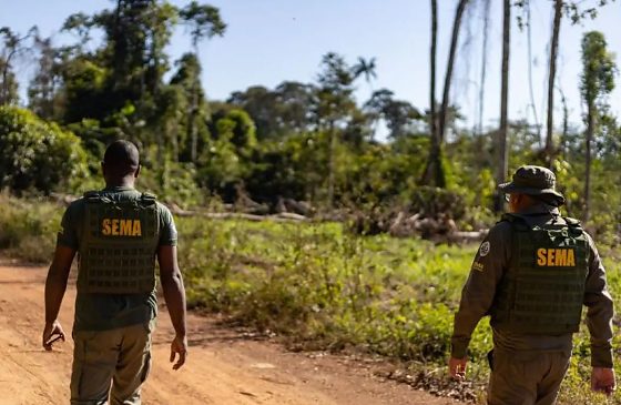 Estado decretou situação de emergência em abril e prepara ações para o período crítico de incêndios entre julho e novembro