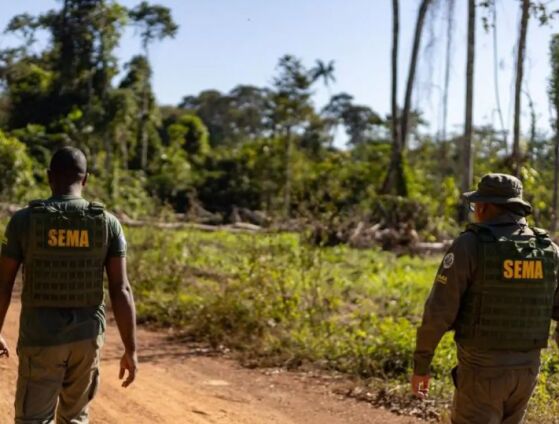 Estado decretou situação de emergência em abril e prepara ações para o período crítico de incêndios entre julho e novembro