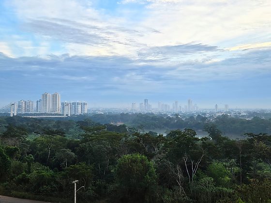 De acordo com o Climatempo, a mínima prevista é de 21°C e a máxima não deve passar dos 31°C.