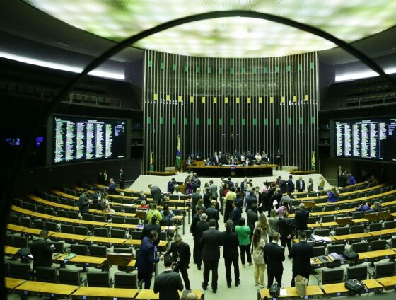 A medida ainda passará por um longo processo, até que possa de fato se tornar lei. 