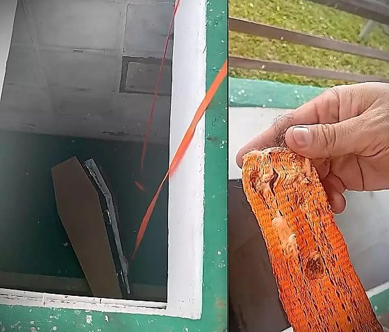 Empresa responsável pelo cemitério atribuiu o incidente a uma falha mecânica no equipamento utilizado na descida do caixão e anunciou revisão imediata dos sistemas semelhantes.