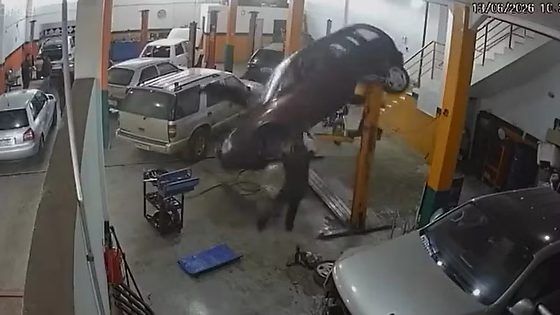 As imagens repercutiram nas redes sociais e chamaram a atenção pela gravidade da situação e pela rápida reação do trabalhador, que evitou o que poderia ter sido uma fatalidade.