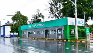 Reprodução