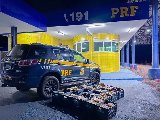 A imagem mostra as dezenas de tabletes de skunk e cocaína, apreendidos pela PRF em fiscalizações diversas na BR-364 em Mato Grosso