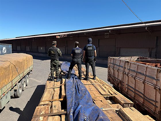 Com base em estimativas técnicas e em casos anteriores envolvendo o mesmo método de ocultação, a suspeita é de que entre 10% e 20% da carga esteja contaminada, o que pode representar um volume entre 20 e 50 toneladas da droga