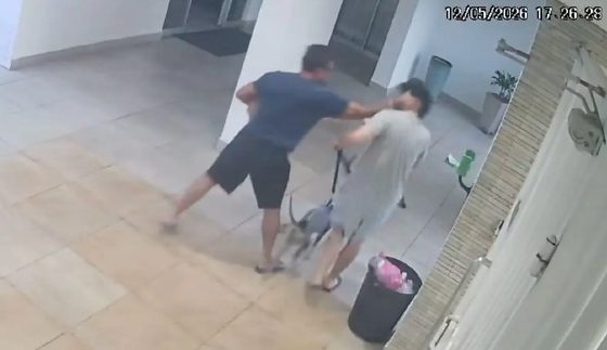 Circuito interno gravou agressão contra animal e morador