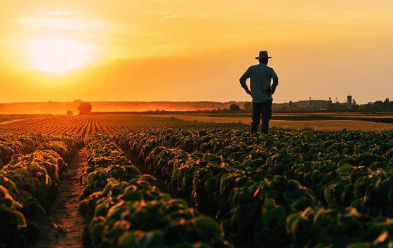 O produtor rural acumula outros processos no Judiciário de Mato Grosso.