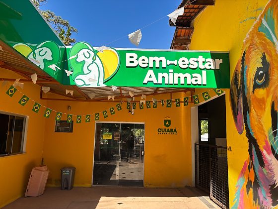 Três filhotes encontrados mortos em uma estrutura do Centro de Zoonoses de Cuiabá, haviam sido diagnosticados com cinomose.
