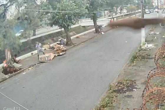 Câmeras de segurança registraram o momento em que a árvore de grande porte caiu durante a forte ventania.