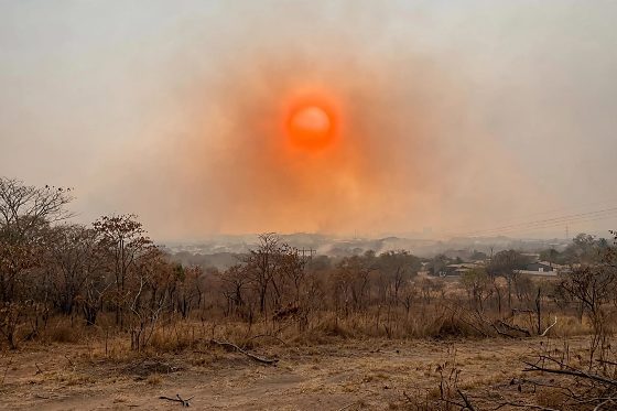 O cenário é agravado pela estiagem, intensificada pela atuação do fenômeno El Niño, que favorece temperaturas elevadas, baixa umidade do ar e prolongamento do período seco.
