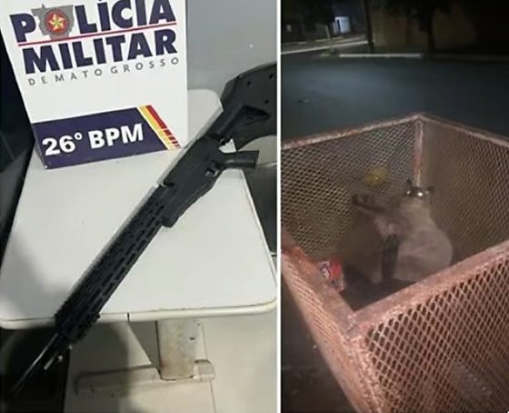 Os ataques aconteciam no momento em que os animais se aproximavam de uma lixeira localizada em frente à residência do agressor.