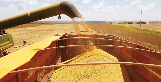A “Operação Safra Desviada” apura um esquema de desvio de grãos que teria causado prejuízo estimado em R$ 140 milhões a empresas do setor agrícola.