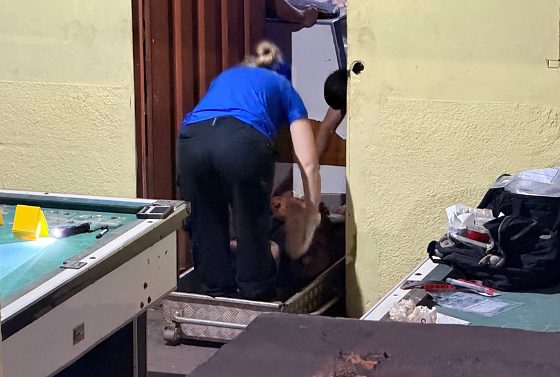 Everaldo Oliveira da Costa, de 63 anos, foi assassinado a tiros na noite desse domingo (16), em Cuiabá.