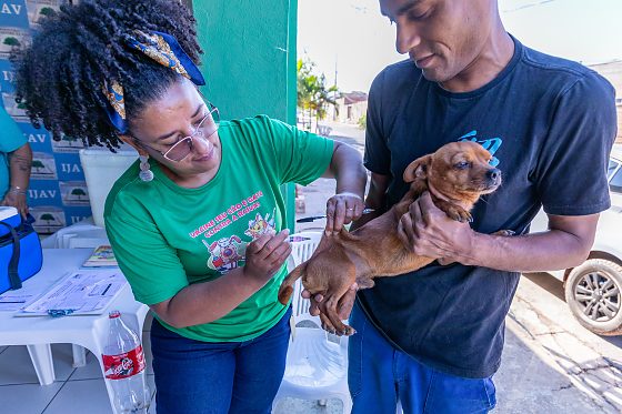 Cães e gatos podem ser vacinados contra a raiva neste sábado em Cuiabá