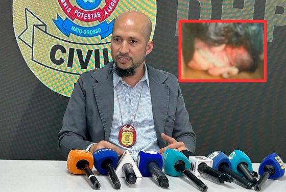 Delegado disse que vizinhos notaram gravidez e ajudaram polícia a identificar mãe.