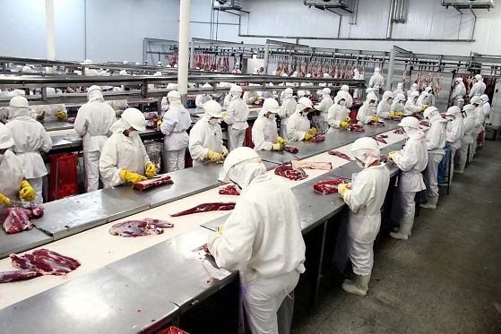 Grupo Frigorífico G.O. teve processamento da recuperação judicial autorizado pela 1ª Vara Cível de Cuiabá.