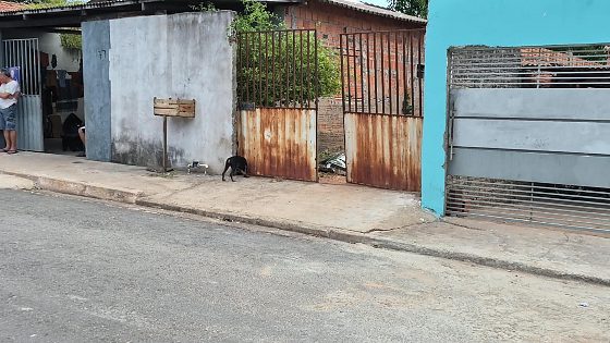 Érica Campos Barbosa, de 28 anos, foi encontrada morta a tiros dentro da residência, no bairro Pascoal Ramos.