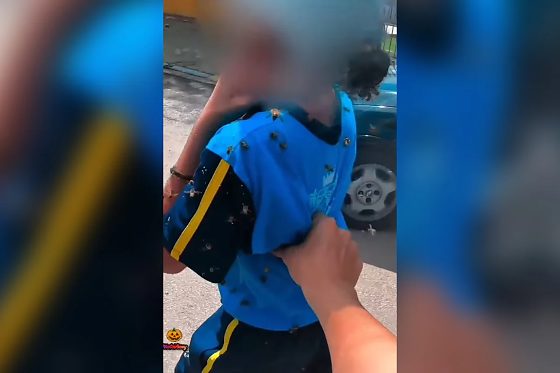 Ataque ocorreu após uma colmeia cair de uma árvore próxima à entrada da escola; outras pessoas também foram picadas.
