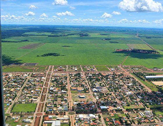 A Pesquisa Agrícola Municipal (PAM) é o levantamento anual do IBGE que mapeia o desempenho do campo em todos os municípios do país