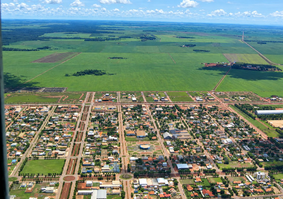 A Pesquisa Agrícola Municipal (PAM) é o levantamento anual do IBGE que mapeia o desempenho do campo em todos os municípios do país