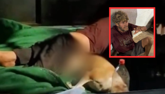A Polícia Militar foi acionada após uma testemunha denunciar que o abusador estava maltratando o animal e praticando zoofilia contra ele.