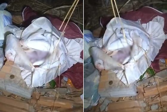 Nas imagens, a bebê aparece enrolada em uma coberta e já sem sinais vitais.