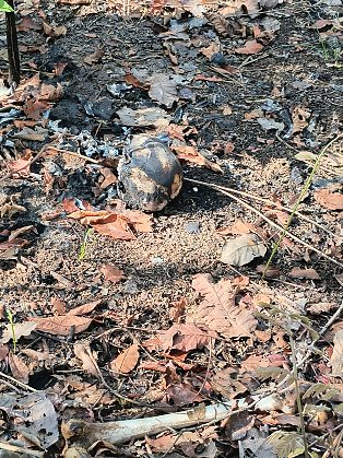 Quatro pessoas foram presas durante a operação, sendo três por tráfico de drogas; um dos alvos ainda está foragido.