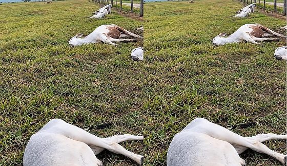 O caso ocorreu próximo à Gleba Santa Mônica, na região de fronteira com a Bolívia.