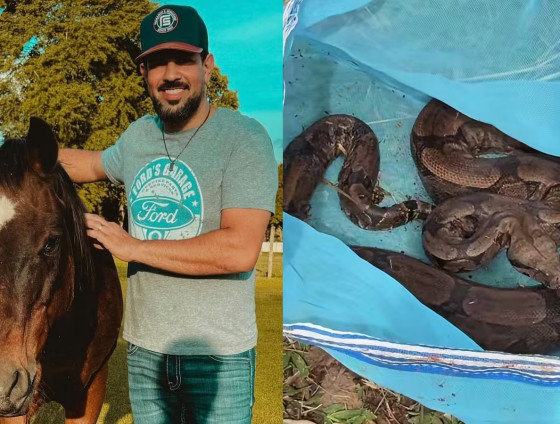 Sertanejo mostrou o momento nas redes sociais e contou que pretende levar a jiboia para outra área da propriedade.